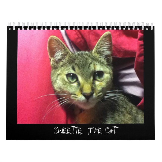 DOCINHO do calendário CAT (Capa)