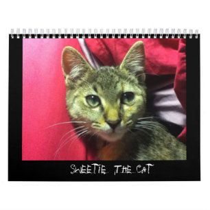 DOCINHO do calendário CAT