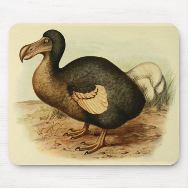 Dodo Mousepad (Frente)