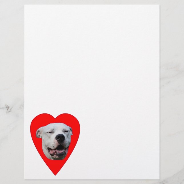Dogo Argentino Sorridente (Frente)