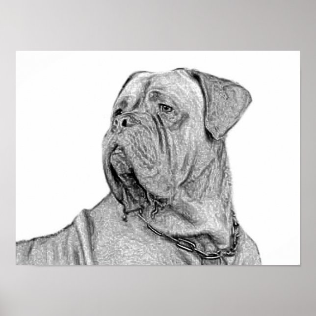 Dogue de Bordeaux poster (Frente)
