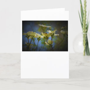 Dogwood Blossom, cartão