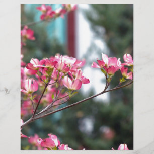 Dogwood Rosa