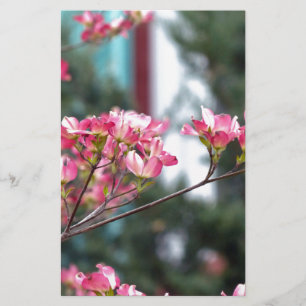 Dogwood Rosa