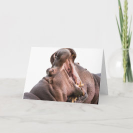 Dois Cartão de Hippo Boca Grande