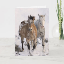 Dois Cartão de Saudação de Cavalo Appaloosas