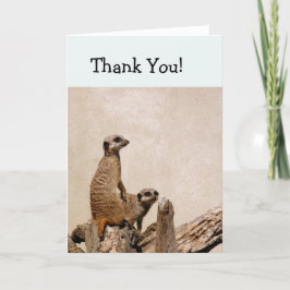 Dois Cartões de agradecimentos Meerkats