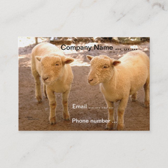 Dois cartões de visitas dos carneiros (Frente)