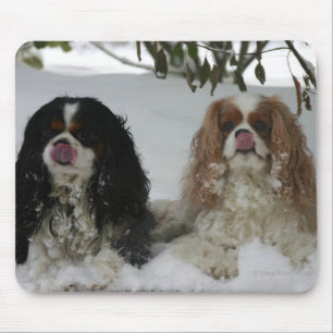 Dois Cavaliers Mousepad