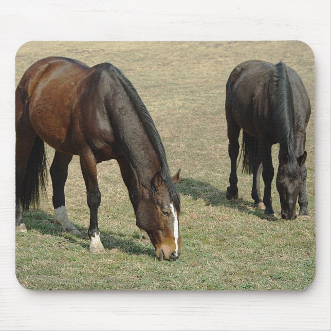 Dois cavalos - Mousepad (Frente)