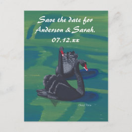 Dois Cisnes Negros Nadando Cartões Postais Save th
