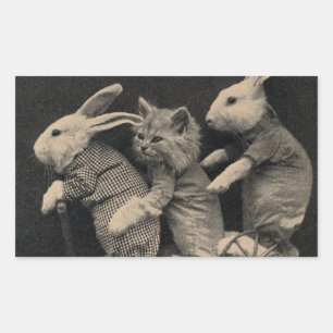 Dois coelhos e um gato em uma etiqueta do patinete