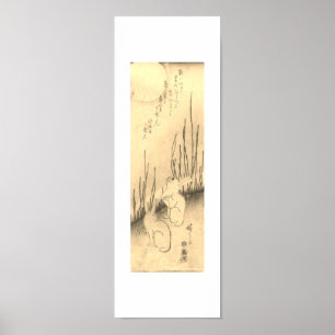 DOIS COELHOS & UM IMPRESSÃO DO JAPONÊS DA LUA