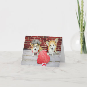 Dois Corgis com cartão de saudação de Candy Valent