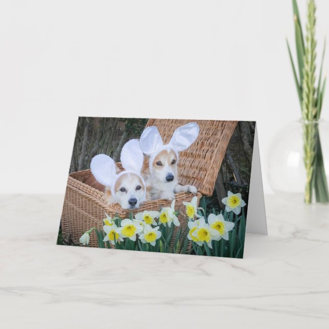 Dois Corgis em um cartão de saudação de Páscoa da  (Frente)