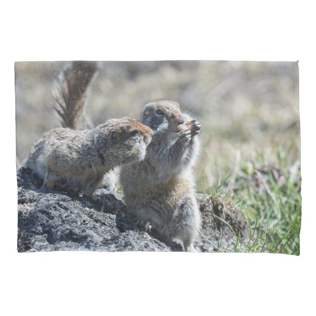 Dois esquilos à terra bonitos (Gopher, evrazki) (Frente)