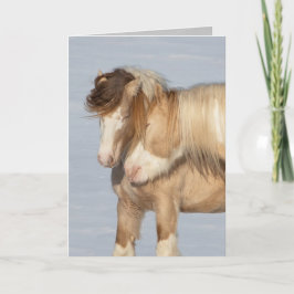 Dois Estalhões Ciganos - Cartão Saudável