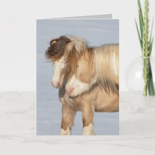 Dois Estalhões Ciganos - Cartão Saudável