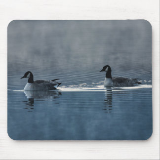 Dois gansos-do-canadá no Mouse Pad do Lago