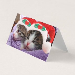 Dois gatinhos em Papai Noel Feliz Cartão de Natal
