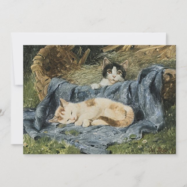 Dois Gatinhos | Julius Adam, o Younger (Frente)