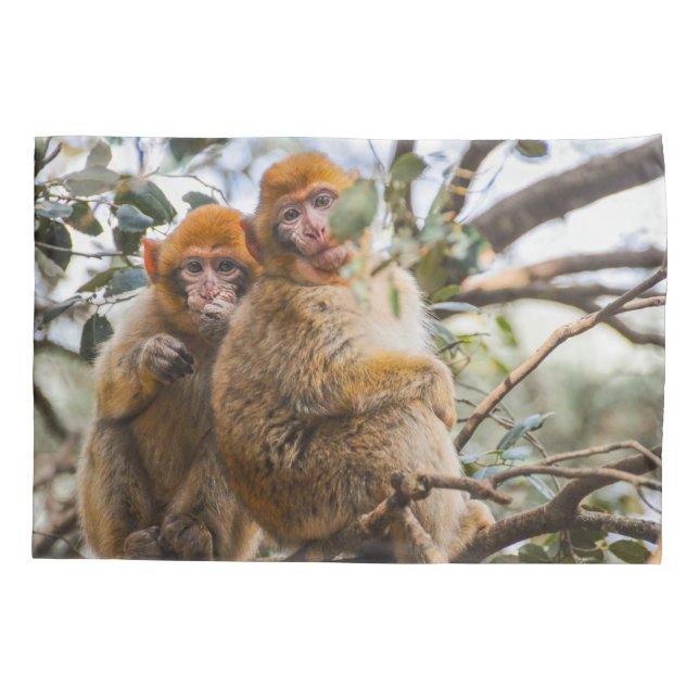 Dois Macacos Cortes (Verso)