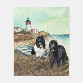 Dois novatos e um cobertor de bordo