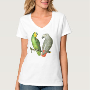 Dois papagaios coloridos do vintage no t-shirt das