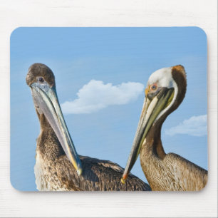 Dois pelicanos Mousepad de Brown