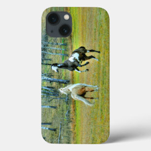 Dois Pinto Pintor Cavalos Equinos Art Design 2