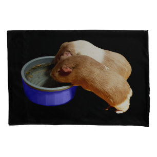 Dois Porcos Castanhos E Guiné Branca,