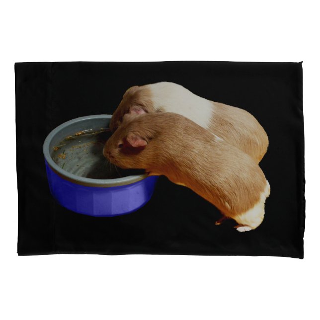 Dois Porcos Castanhos E Guiné Branca, (Frente)