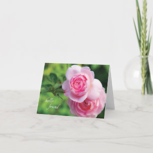 Dois rosas cor-de-rosa, olá! amigo - cartão de