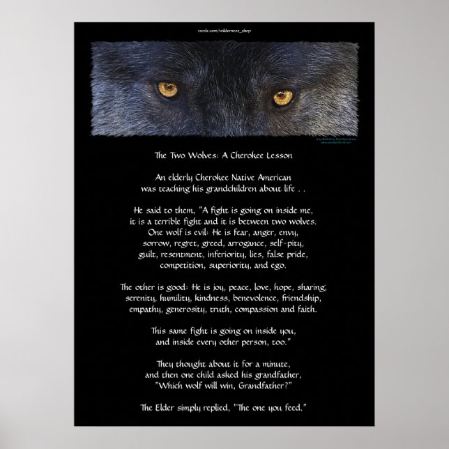 Dois WOLVES CHEROKEE TALE Art Poster (Frente)