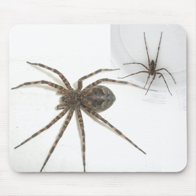 Dolomedes Female & Masculino Mousepad (Frente)