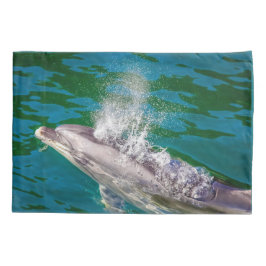 Dolphin In Milford Sound, Nova Zelândia