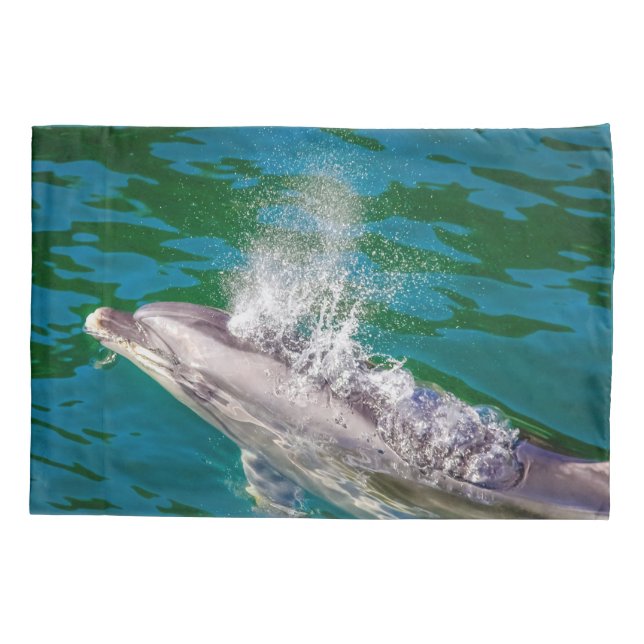 Dolphin In Milford Sound, Nova Zelândia (Verso)