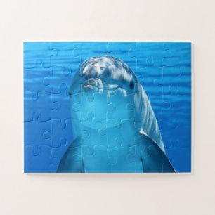 DOLPHIN JIGSAW QUEBRA-CABEÇA