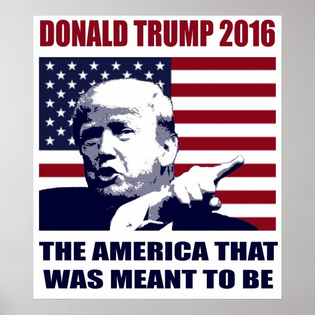 Donald Trump 2016 Para O Presidente Poster (Frente)