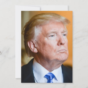 Donald Trump Portrait