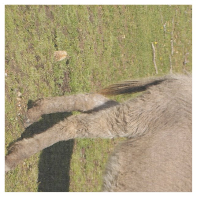 Donkey e Tecido de vaca (Detalhe)