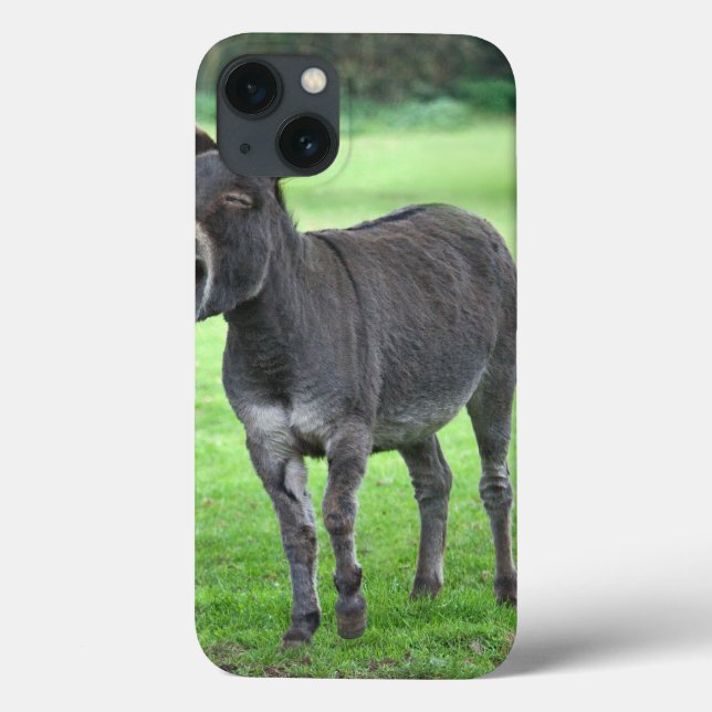 Donkey Laugh Mini Case (Verso)