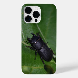 Dorcus parallelipipedus , o escaravelho inferior