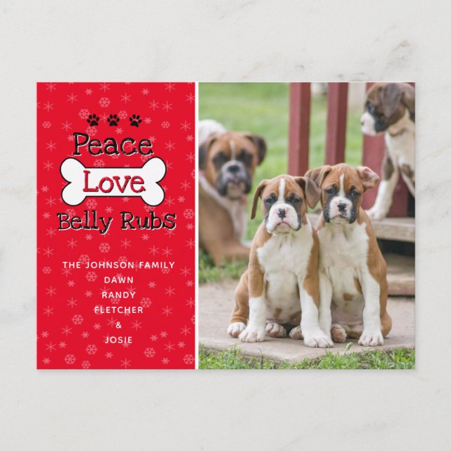 Dos Cartões de Natal do Cão (Frente)