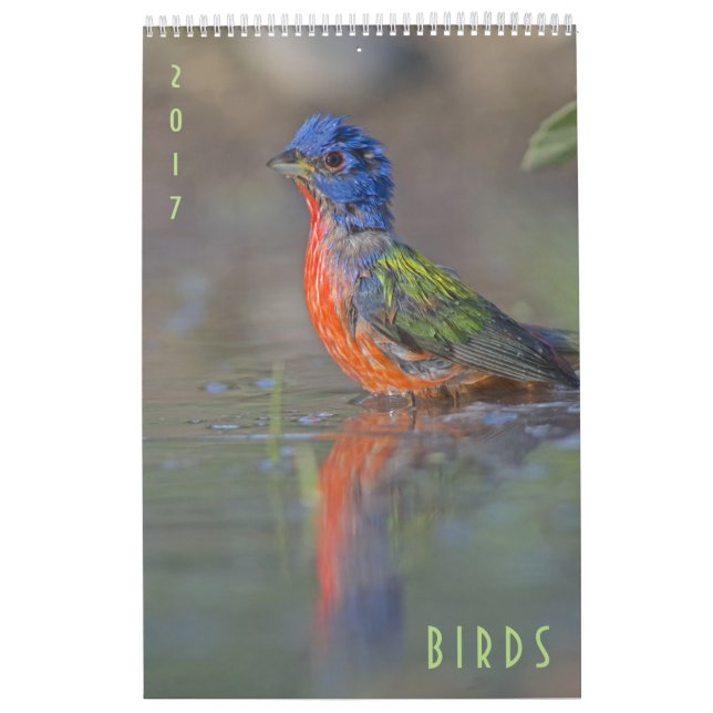 Dos pássaros dos animais selvagens calendário 2017 (Capa)