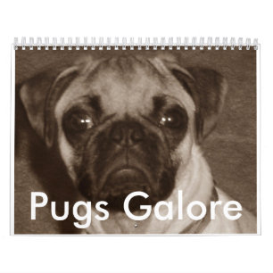 Dos Pugs calendário abundante