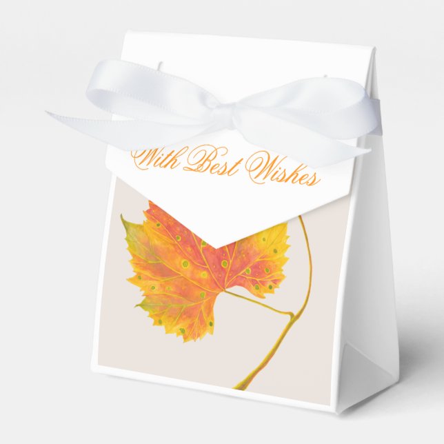 Dotty Spotty Caiu em uma Caixa de Favor (Frente)