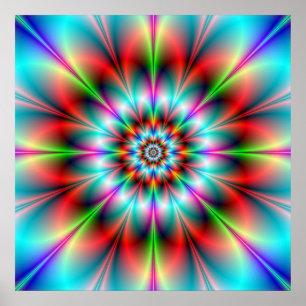 Double Flower Poster