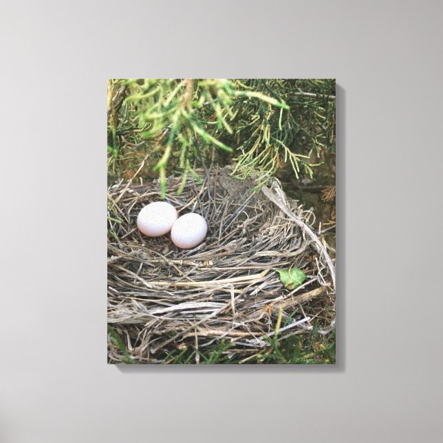 Dove Nest na canvas (Frente)