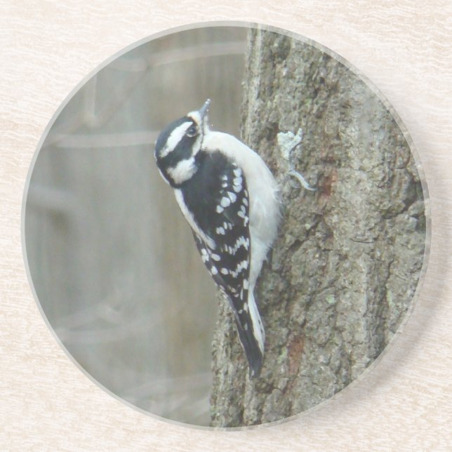 Downy Woodpecker Porta copos feminina (Frente)